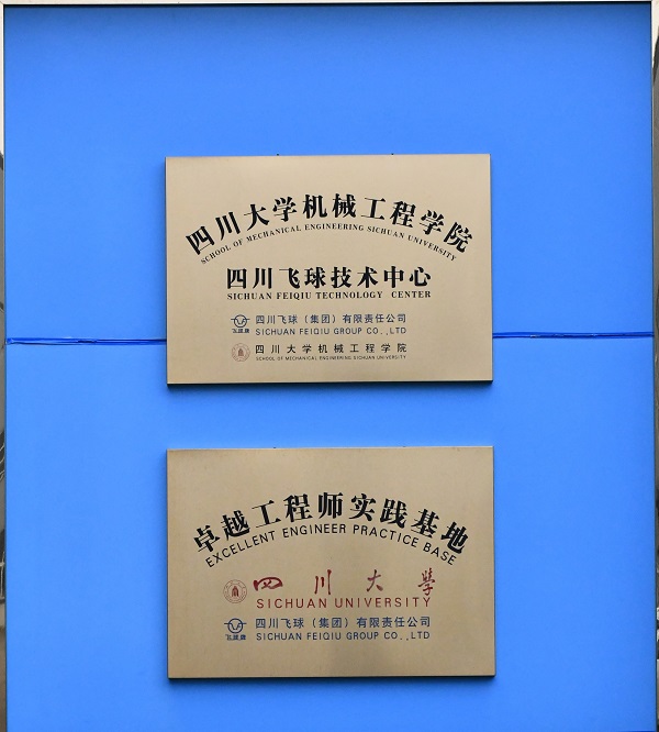 四川飛球榮獲 2024 年四川省技術創新示范企業